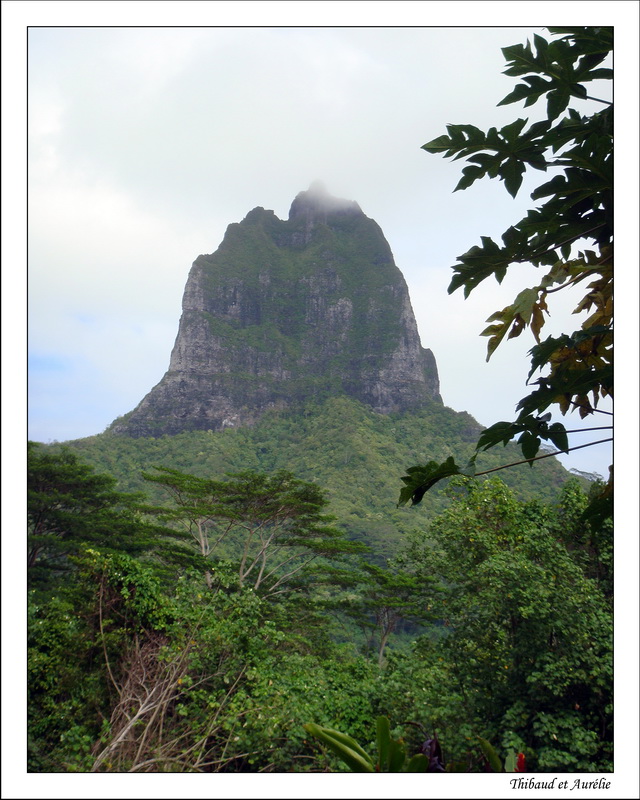 2009 - 08 - Moorea 25